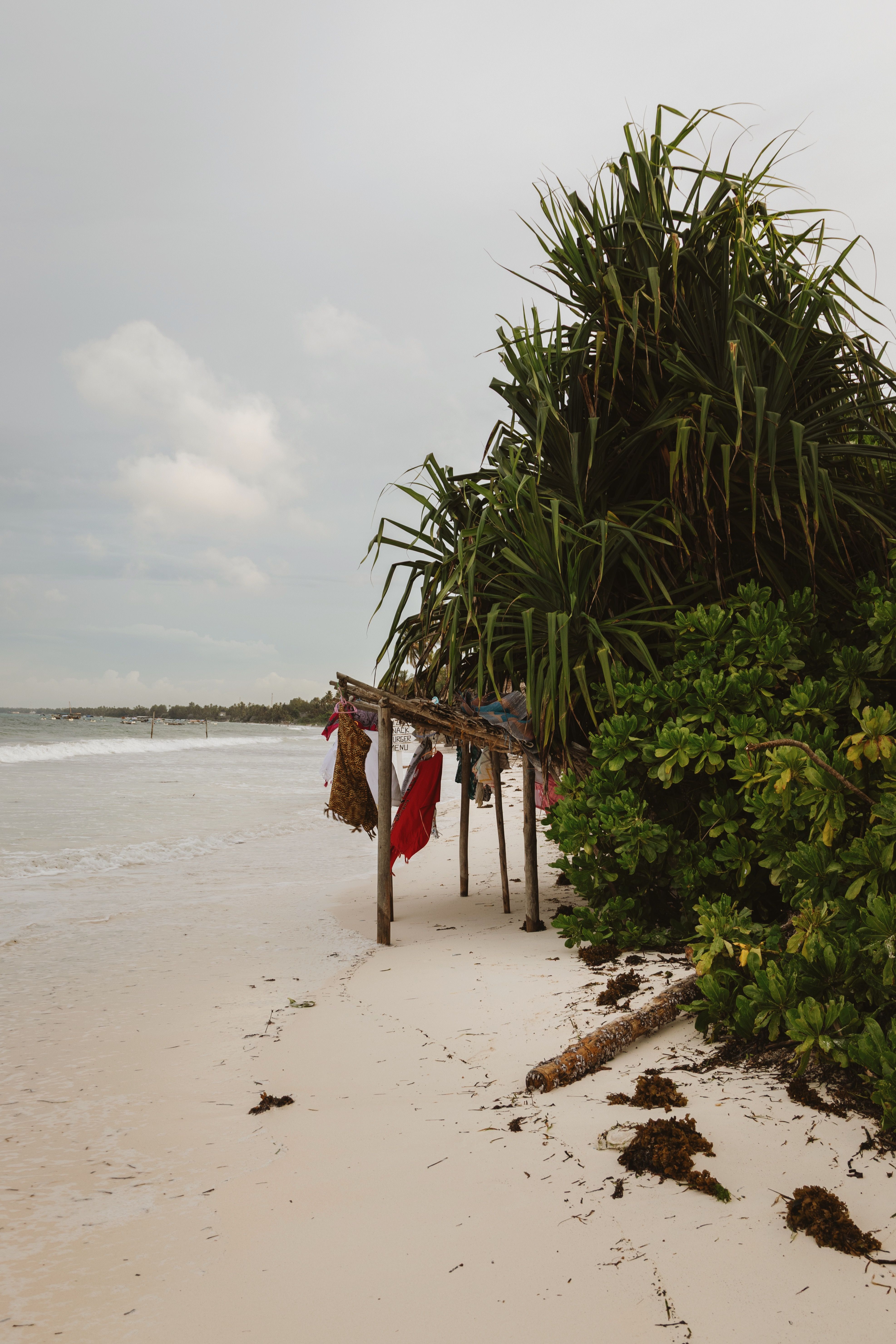Diani coastal scenery
