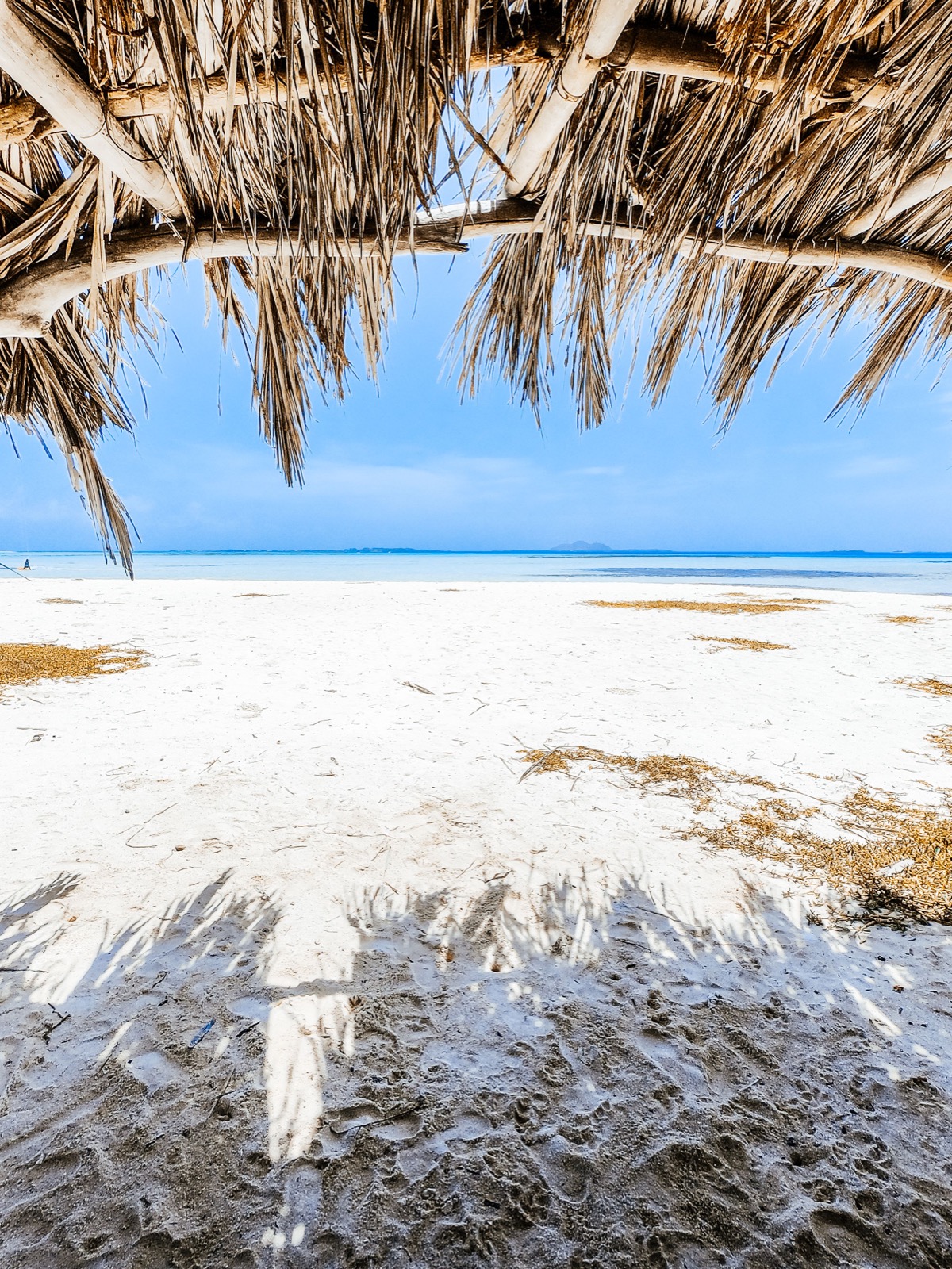 Diani coastline and beach scenery