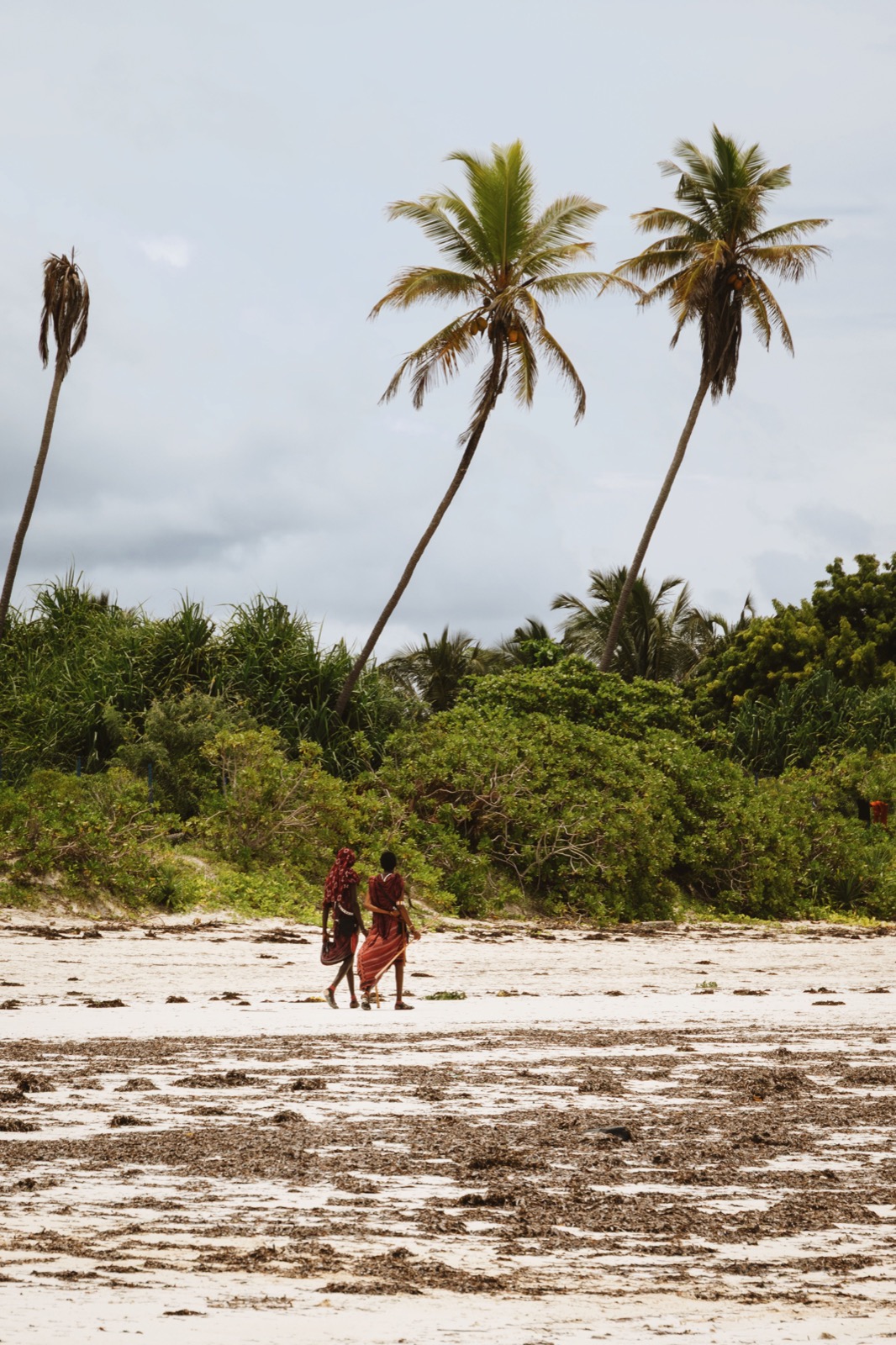 Two people walking along a white-sand beach
