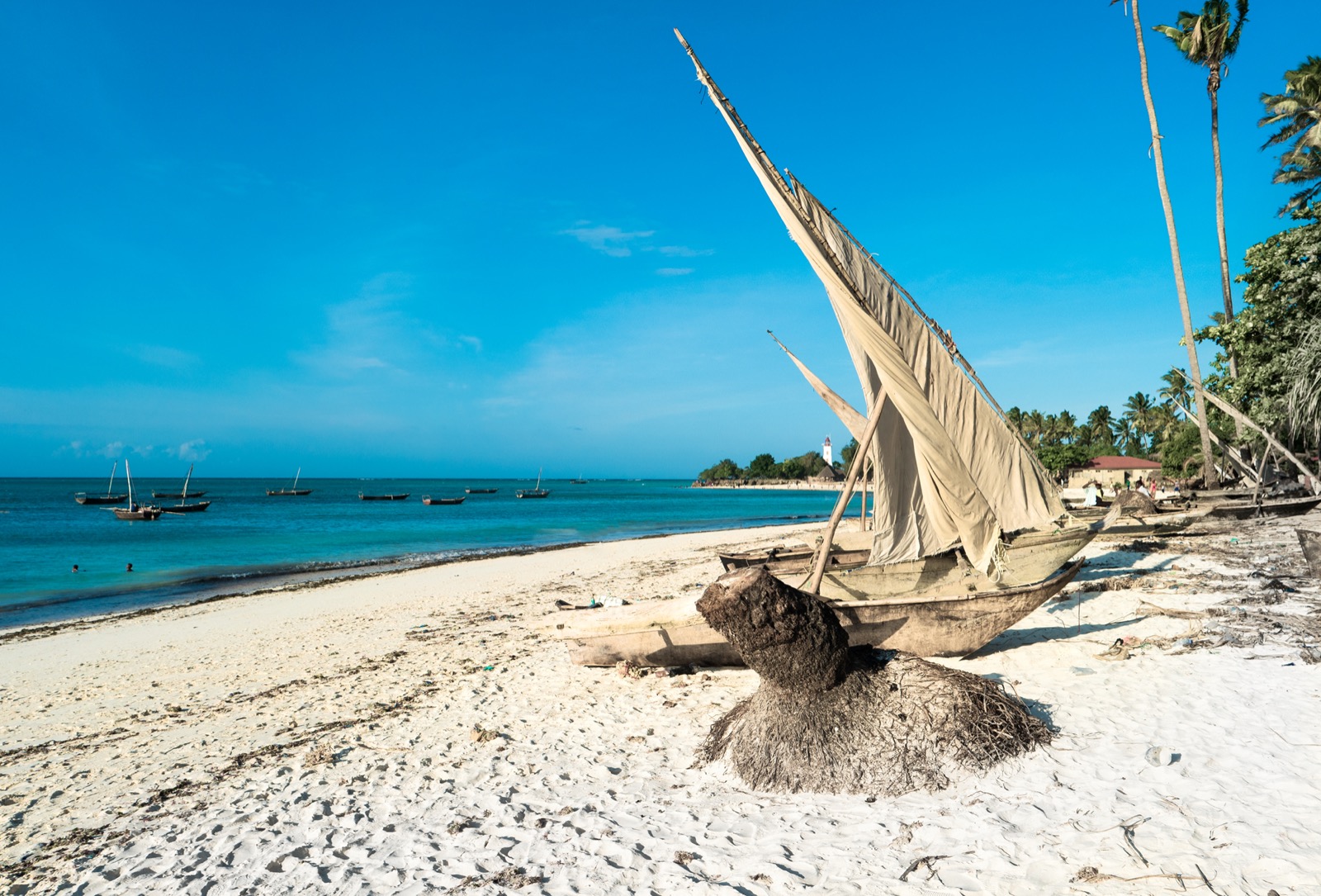 Traditional sailing vessel on the coast