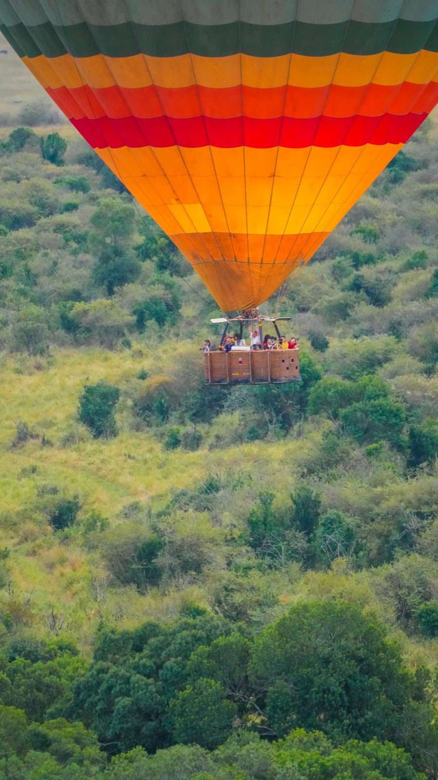 Hot air balloon being prepared over safari plains