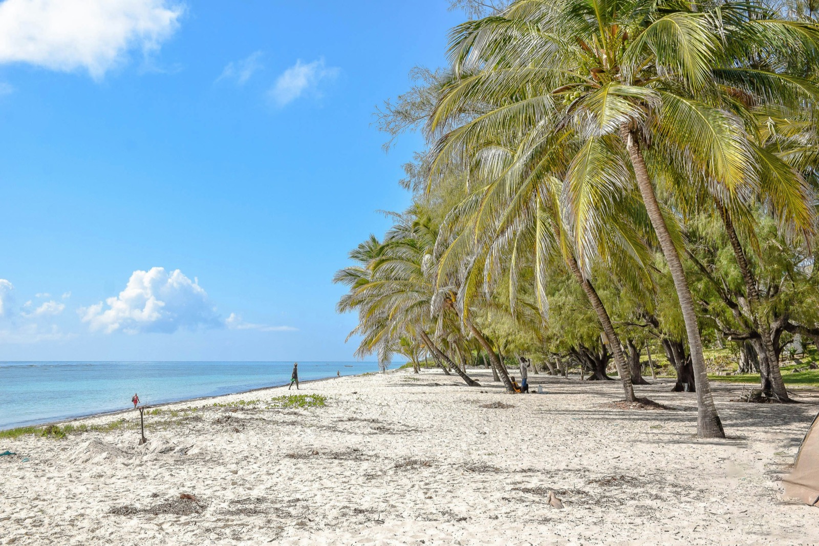 White-sand beach with calm turquoise water