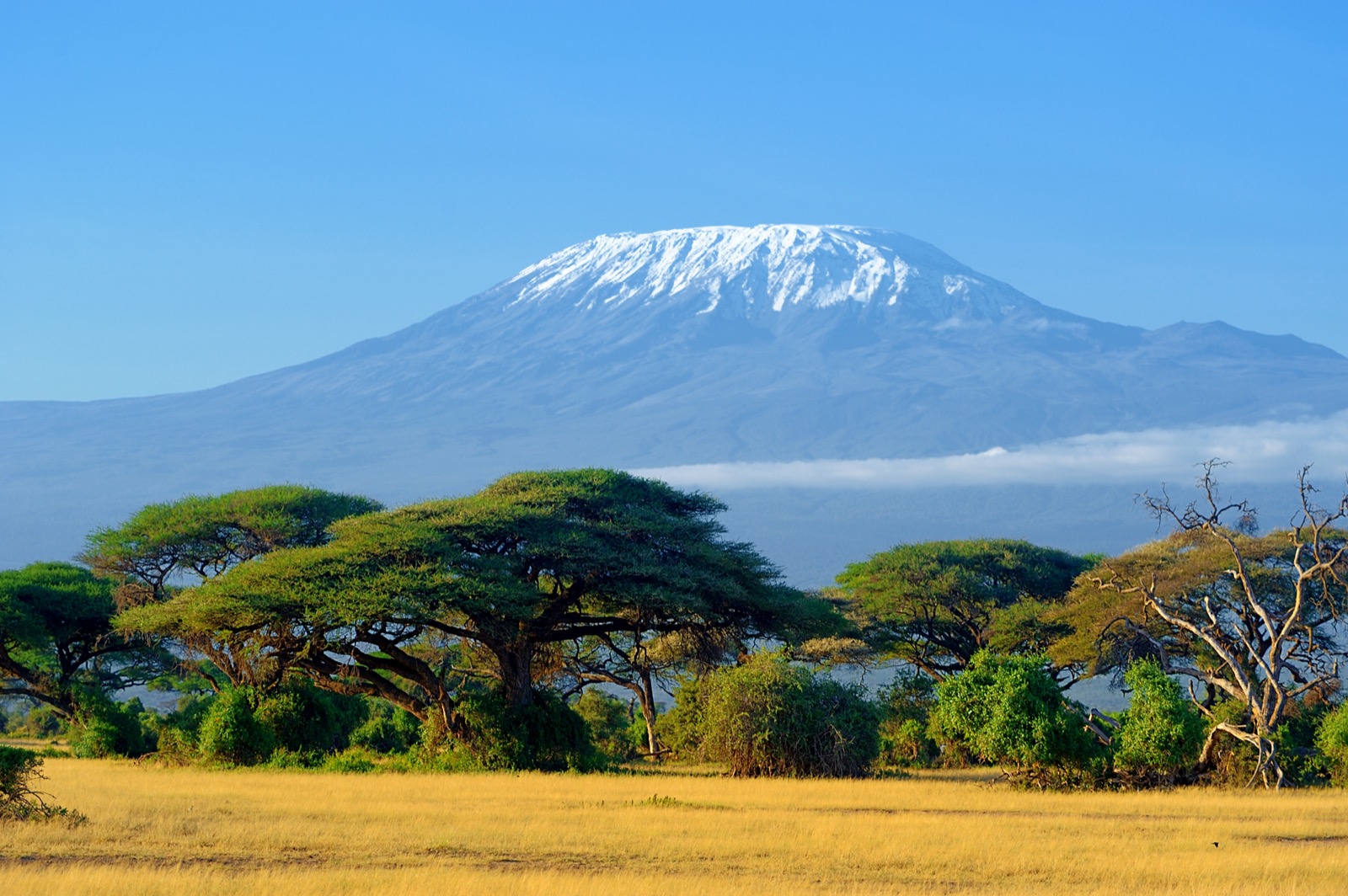 Mountain view across the African savannah