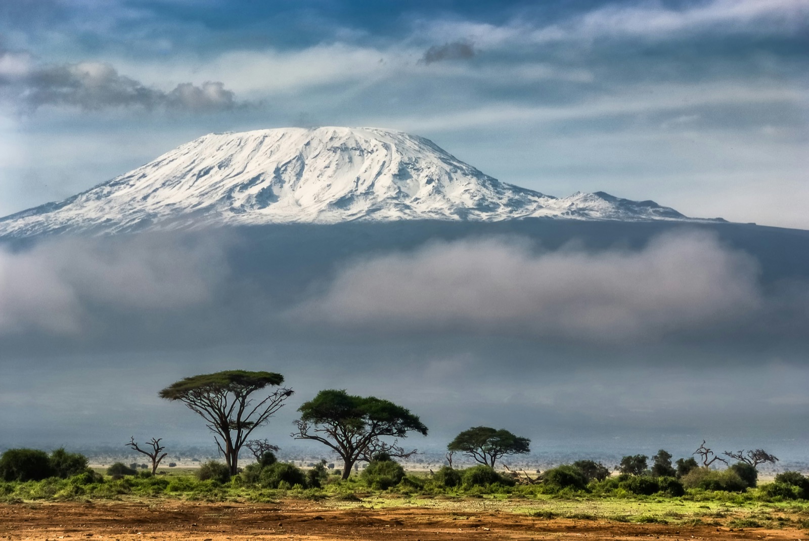 Elephant walking below Mount Kilimanjaro