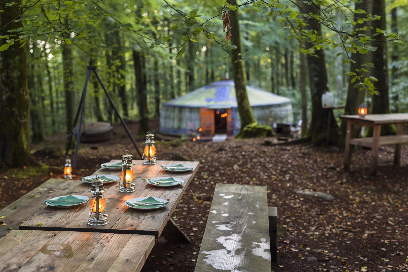 Private lantern-lit dining table in a forest camp
