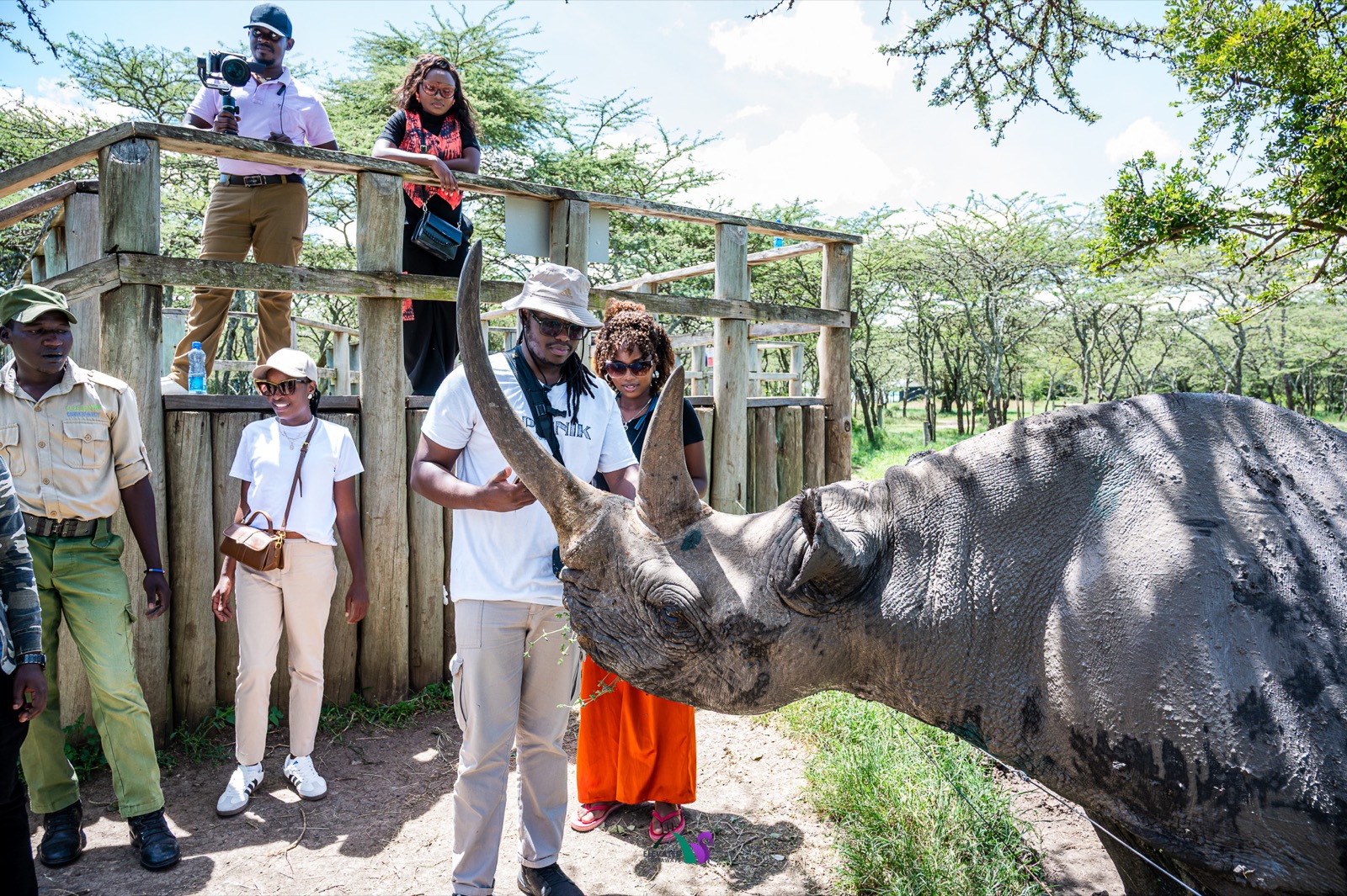 Rhino in the wild during a safari
