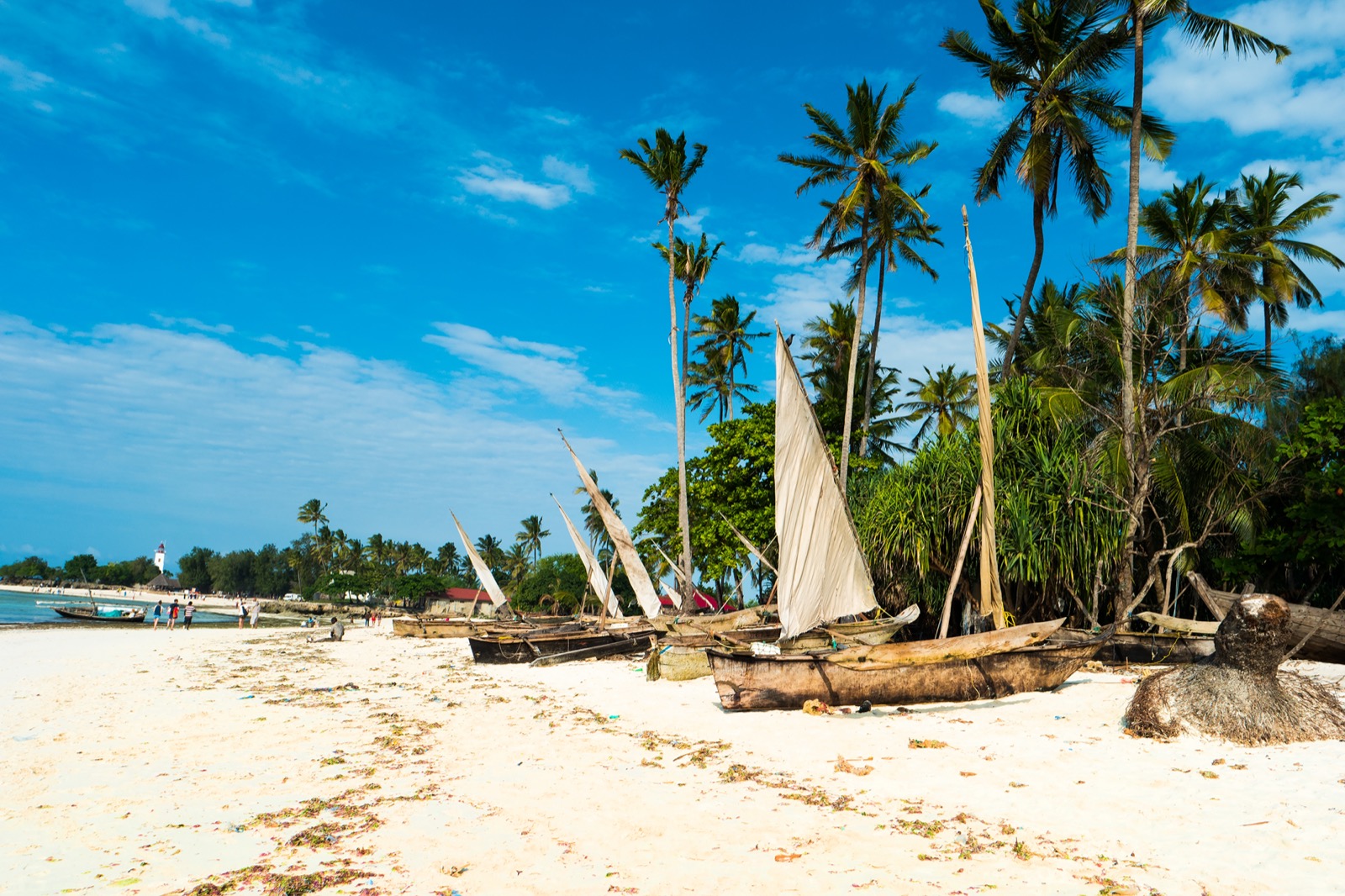 Sailing boats resting along the ocean shore