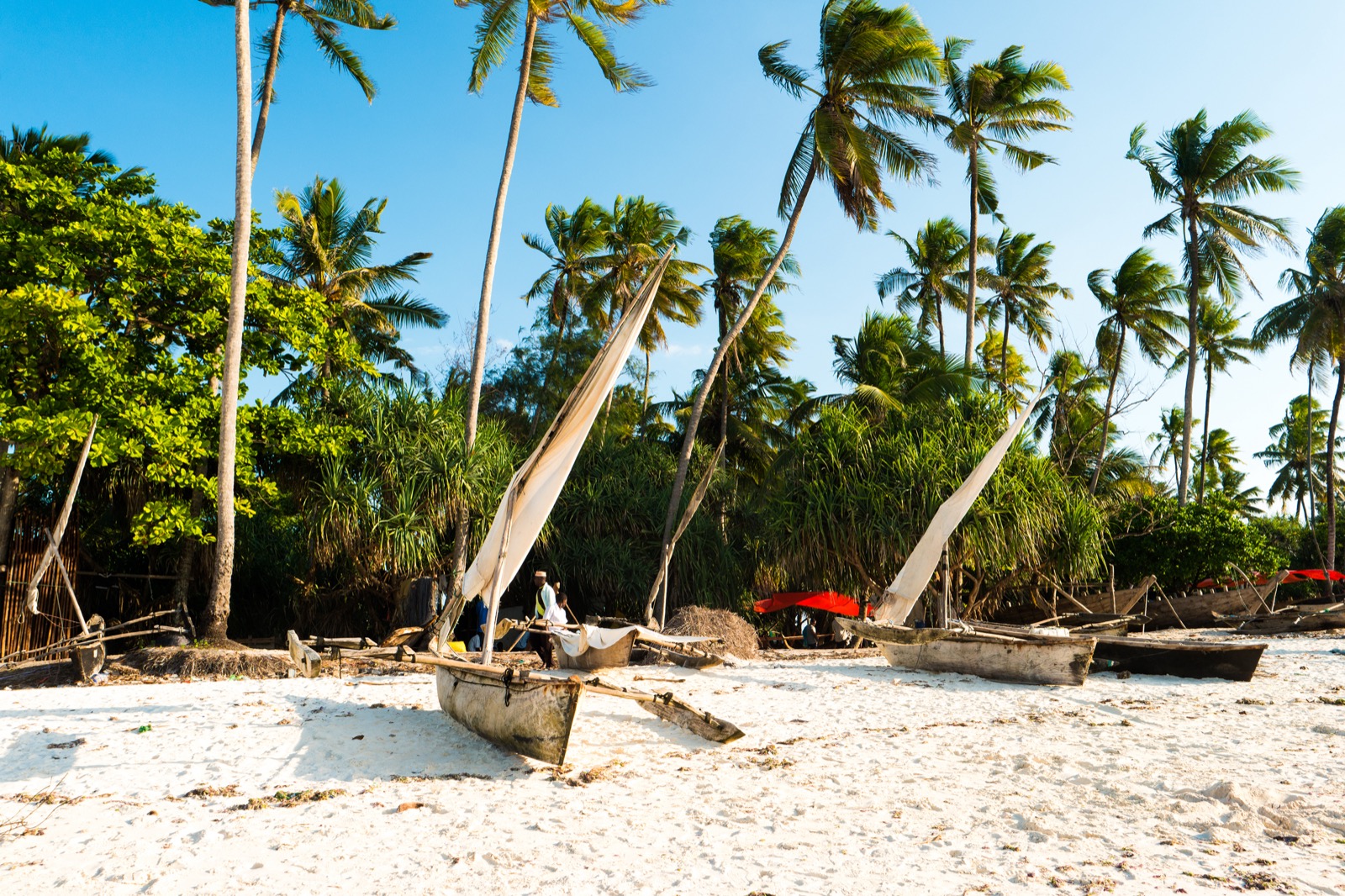 Tropical beach with palm trees and boats